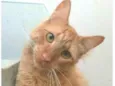 BEN
