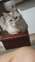 Tanajura e Frodo