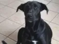 Nina