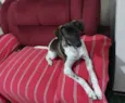 Maya