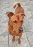 Vermelho 