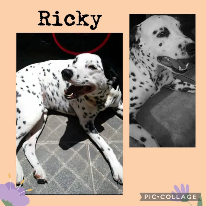 Ricky