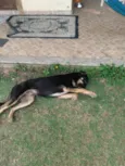 José