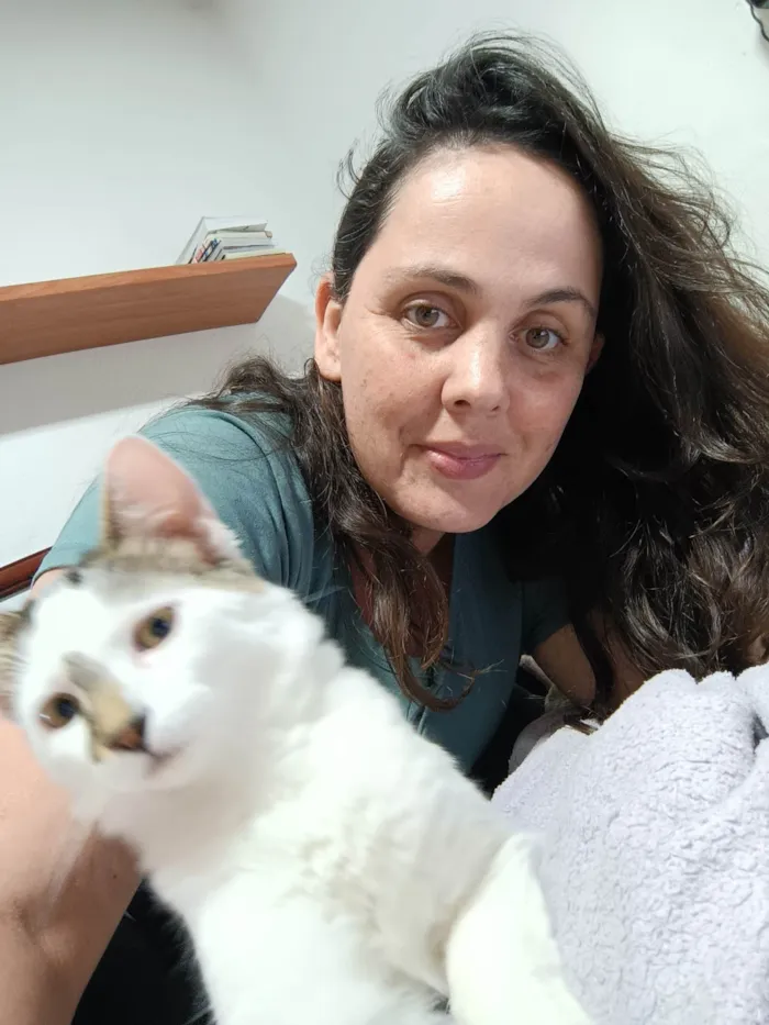 Gato ra a  idade 1 ano nome GRATIFICA - Floquinho 