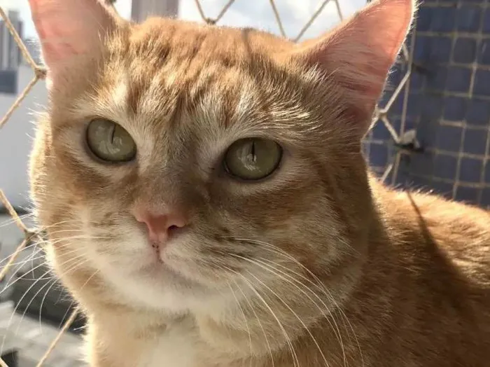 Haru 1aninho lindo e bonzinho 