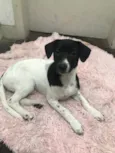 Bella