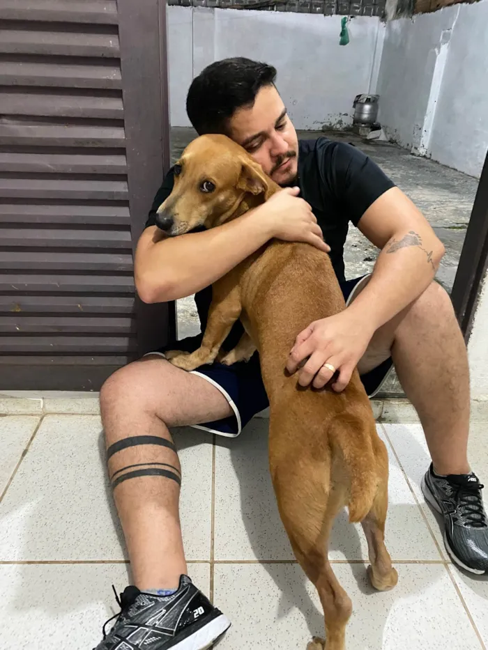 Cachorro ra a Mestiço  idade 1 ano nome Lion 