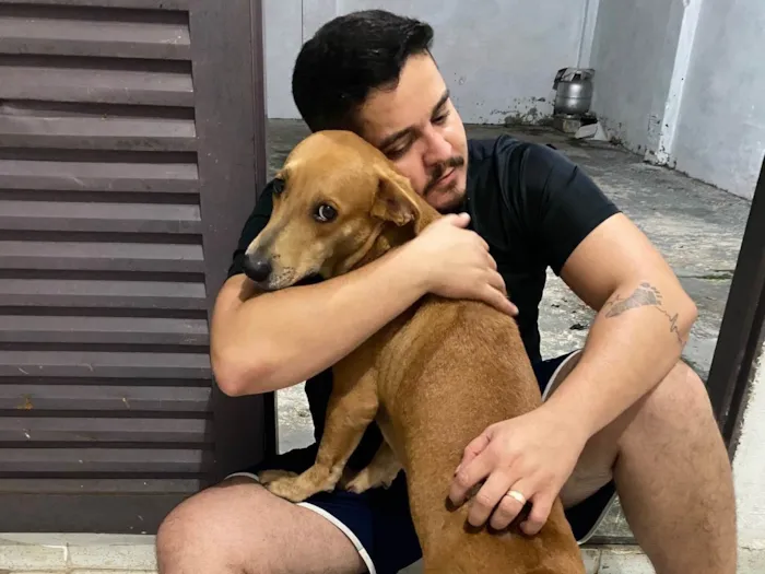 Cachorro ra a Mestiço  idade 1 ano nome Lion 