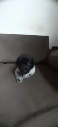 Marinho