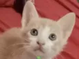 Nino 