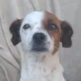 Kiki