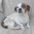Kiki