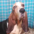 Olga