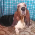 Olga