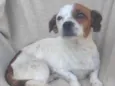 Kiki