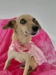 Nina