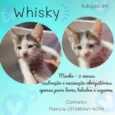 Whisky