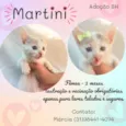 Martini