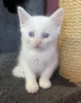 Beti e Vilma