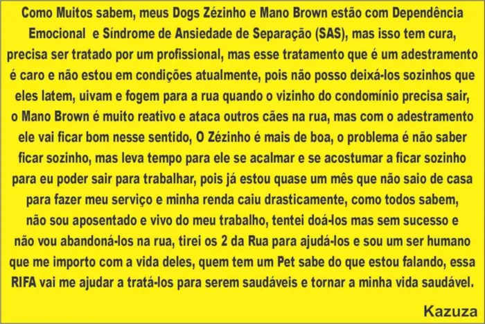 Cachorro ra a SRD-ViraLata idade 5 anos nome Zézinho