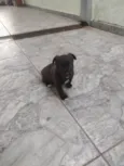 Ainda não tem