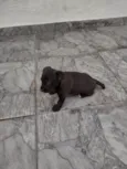 Ainda não tem