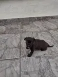 Ainda não tem