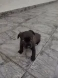 Ainda não tem