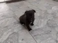 Ainda não tem