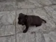 Ainda não tem