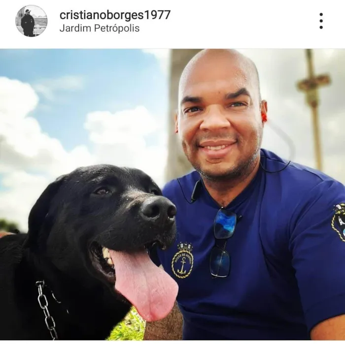 Cachorro ra a Labrador  idade 6 ou mais anos nome Duke