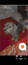 Boby
