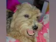 Boby