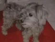 Boby
