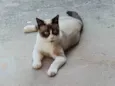 Nao sei o nome
