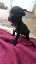 Billy