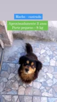 Neguinho