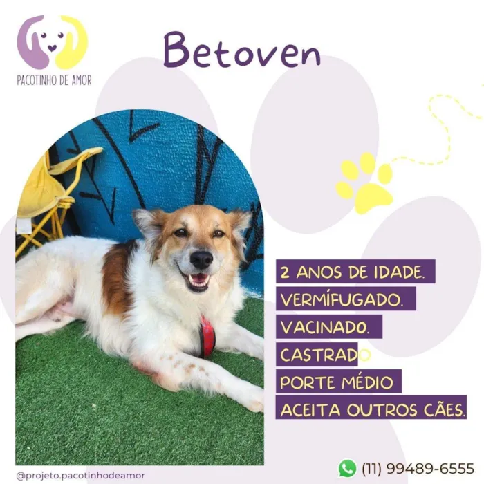 Betoven 