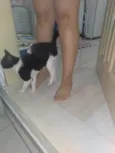 Luna/não possuí 