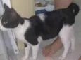 Luna/não possuí 