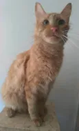 Ben