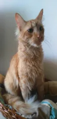 Ben