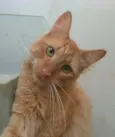 Ben