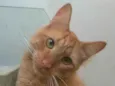 Ben