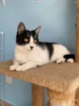 Maggie