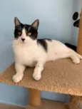 Maggie