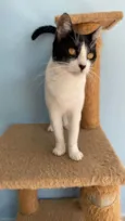 Maggie