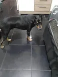 Lucky 