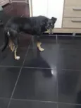 Lucky 