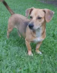 Mel 